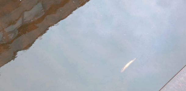 photo 2024 03 223 06 51  