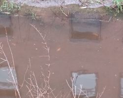 photo 2024 03 22 13 06