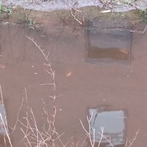 photo 2024 03 22 13 06