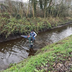 photo 2024 03 229 223  