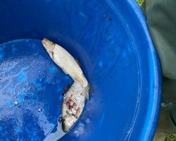 photo 2024 03 22 19 22 13  