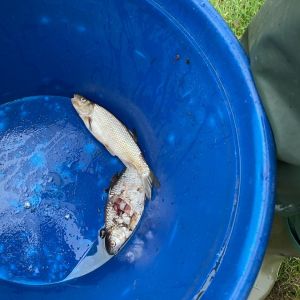 photo 2024 03 22 19 22 13  