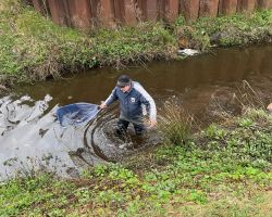 photo 2024 03 22 19 22 13  