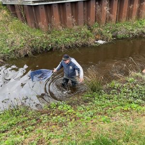 photo 2024 03 22 19 22 13  