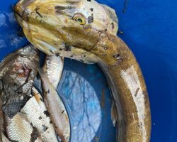 photo 2024 03 22 19 22 13  