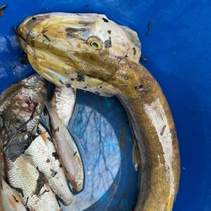 photo 2024 03 22 19 22 13  