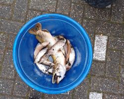 photo 2024 03 22 20 46 01  