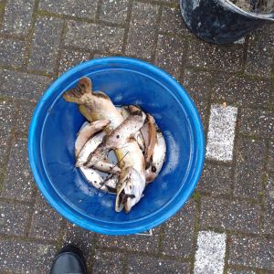 photo 2024 03 22 20 46 01  