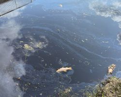 foto 19.08.24  12 36