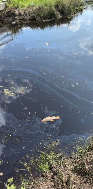 foto 19.08.24  12 36