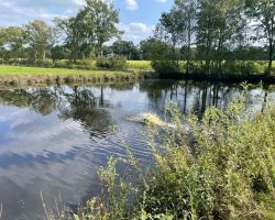 foto 19.08.24  16 12