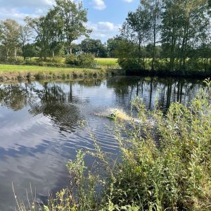 foto 19.08.24  16 12