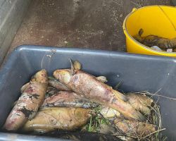 photo 2024 08 20 07 57 11  