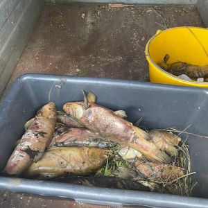 photo 2024 08 20 07 57 11  