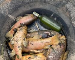 photo 2024 08 20 07 57 11  