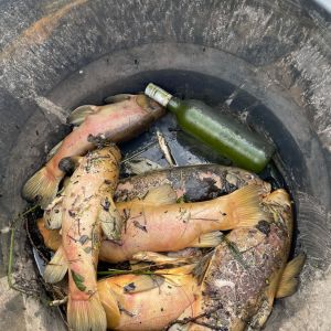 photo 2024 08 20 07 57 11  