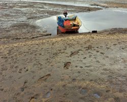 b2fe8e38 8d40 45d9f5 de3851e8a0a0