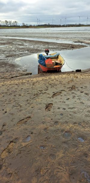 b2fe8e38 8d40 45d9f5 de3851e8a0a0