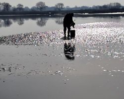 5 reinigung um suesswasserwat