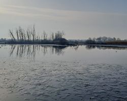 foto 07.03.26  09 20 38  