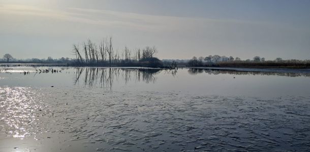 foto 07.03.26  09 20 38  