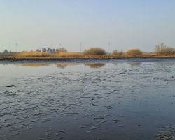 foto 07.03.26  09 20