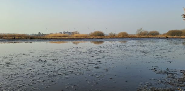 foto 07.03.26  09 20