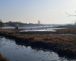 foto 07.03.26  09 28