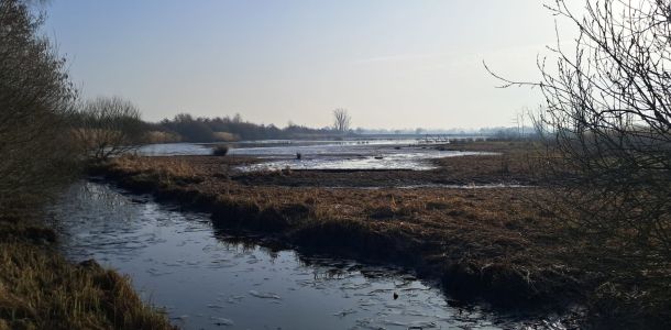 foto 07.03.26  09 28