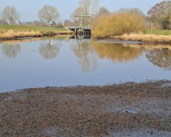 foto 07.03.26  11 29