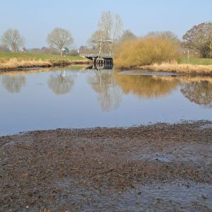 foto 07.03.26  11 29