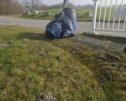 photo 2026 03 077 09 33    