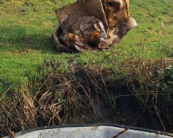 photo 2026 03 077 09 33  