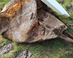 photo026 03 07 17 09 33  