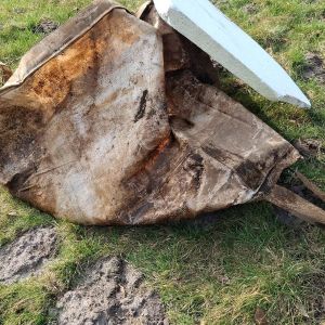 photo026 03 07 17 09 33  