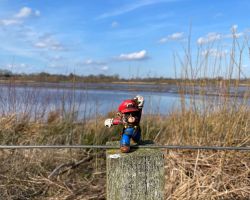 foto 02.03.24  14 33