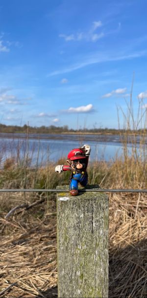 foto 02.03.24  14 33