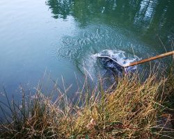 foto 08.03.25  17 01