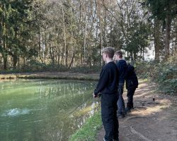 foto 09.03.25 4 45 26  