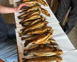 foto 09.03.25 7 25 41  