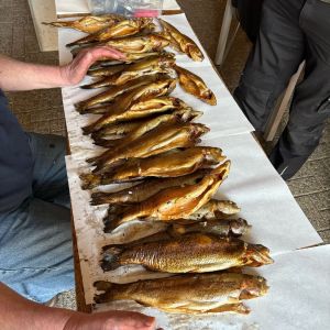 foto 09.03.25 7 25 41  