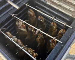 foto 09.03.25  17 25