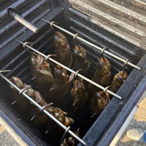 foto 09.03.25  17 25