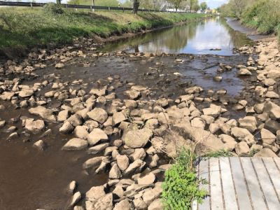 Niedrigwasser 22.05.2020
