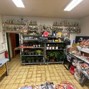 foto 17.10.25  21 28