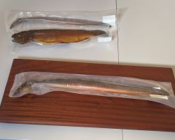 foto 18.10.25  10 17