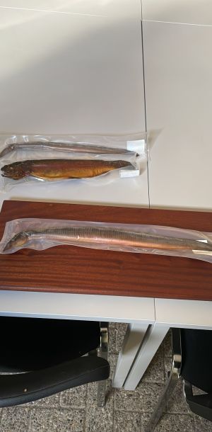 foto 18.10.25  10 17