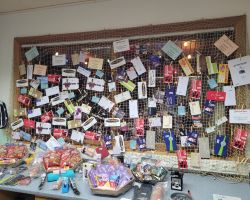 foto 19.10.25  08 29 09  