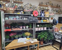 foto9.10.25  08 29 09  6   