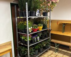 foto 18.10.24  15 12